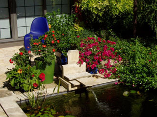 Pond