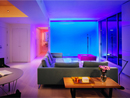 View of color wall